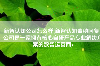 新智认知公司怎么样(新智认知董秘回复：公司是一家拥有核心自研产品专业解决方案的数智运营商)