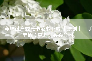 车辆过户委托书范本下载(「原创」二手车辆（中介）买卖合同)