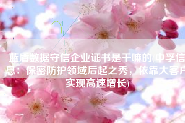 蓝盾数据守信企业证书是干嘛的(中孚信息：保密防护领域后起之秀，依靠大客户实现高速增长)