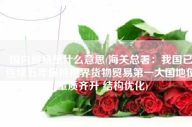 国内贸易是什么意思(海关总署：我国已连续五年保持世界货物贸易第一大国地位 量质齐升 结构优化)