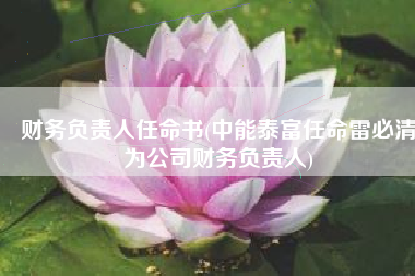 财务负责人任命书(中能泰富任命雷必清为公司财务负责人)