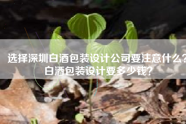 选择深圳白酒包装设计公司要注意什么？白酒包装设计要多少钱？