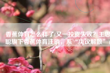 香蕉体育怎么样了(又一投资失败？王思聪旗下香蕉体育注销，系“决议解散”)