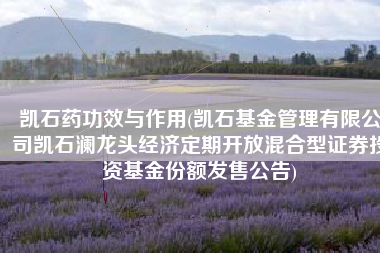 凯石药功效与作用(凯石基金管理有限公司凯石澜龙头经济定期开放混合型证券投资基金份额发售公告)