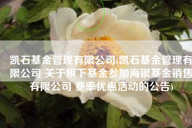 凯石基金管理有限公司(凯石基金管理有限公司 关于旗下基金参加海银基金销售有限公司 费率优惠活动的公告)