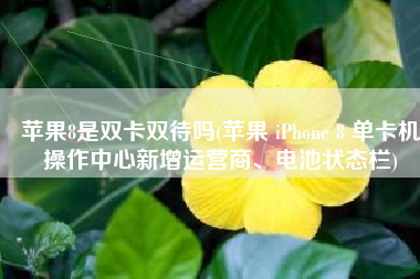苹果8是双卡双待吗(苹果 iPhone 8 单卡机操作中心新增运营商、电池状态栏)