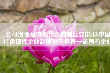 公司治理是协调什么的制度安排(以中国特色现代企业制度锻造世界一流国有企业)