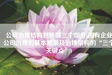 公司治理结构包括哪三个部分(国有企业公司治理的基本框架及治理架构的“三个关键点”)