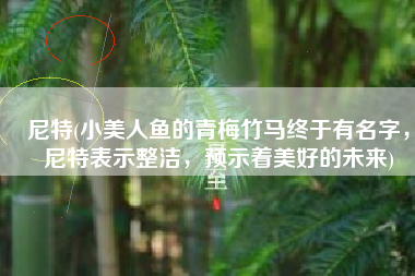 尼特(小美人鱼的青梅竹马终于有名字，尼特表示整洁，预示着美好的未来)