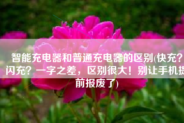智能充电器和普通充电器的区别(快充？闪充？一字之差，区别很大！别让手机提前报废了)