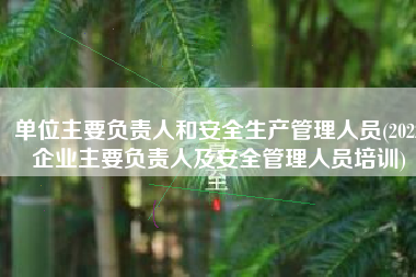 单位主要负责人和安全生产管理人员(2022企业主要负责人及安全管理人员培训)