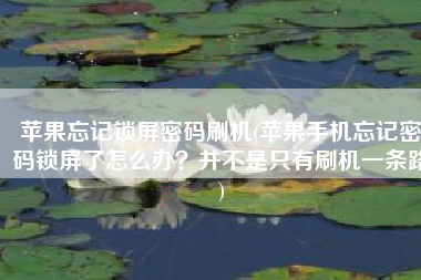 苹果忘记锁屏密码刷机(苹果手机忘记密码锁屏了怎么办？并不是只有刷机一条路)
