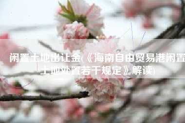 闲置土地出让金(《海南自由贸易港闲置土地处置若干规定》解读)