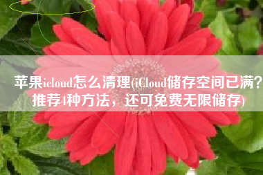 苹果icloud怎么清理(iCloud储存空间已满？推荐4种方法，还可免费无限储存)