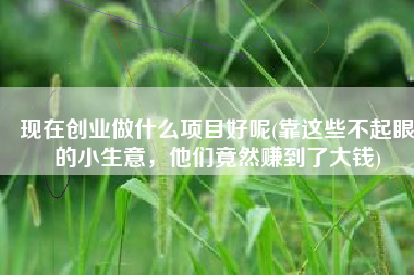 现在创业做什么项目好呢(靠这些不起眼的小生意，他们竟然赚到了大钱)
