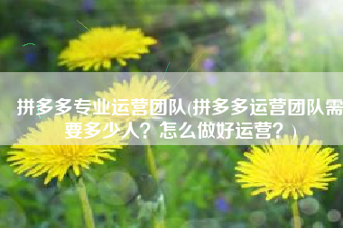 拼多多专业运营团队(拼多多运营团队需要多少人？怎么做好运营？)
