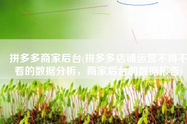 拼多多商家后台(拼多多店铺运营不得不看的数据分析，商家后台的数据报告)