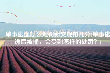 肇事逃逸怎么处罚新交规扣几分(肇事逃逸后被捕，会受到怎样的处罚？)