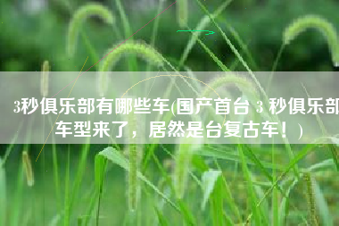 3秒俱乐部有哪些车(国产首台 3 秒俱乐部车型来了，居然是台复古车！)