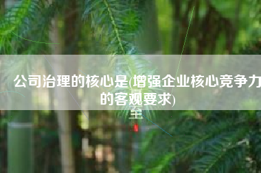 公司治理的核心是(增强企业核心竞争力的客观要求)