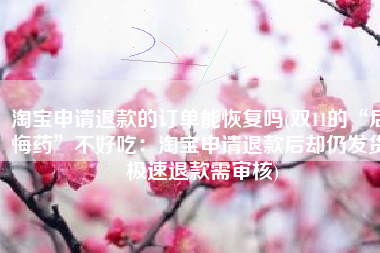 淘宝申请退款的订单能恢复吗(双11的“后悔药”不好吃：淘宝申请退款后却仍发货 极速退款需审核)