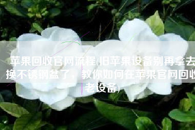 苹果回收官网流程(旧苹果设备别再拿去换不锈钢盆了，教你如何在苹果官网回收老设备)