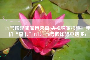 171号段是哪家运营商(央视独家报道！手机“黑卡”171、170号段诈骗电话多)