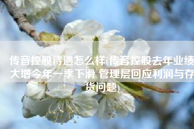 传音控股待遇怎么样(传音控股去年业绩大增今年一季下滑 管理层回应利润与存货问题)