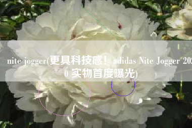 nite jogger(更具科技感！adidas Nite Jogger 2020 实物首度曝光)