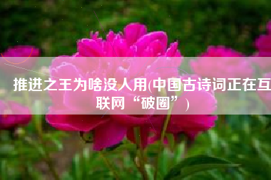 推进之王为啥没人用(中国古诗词正在互联网“破圈”)