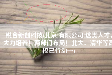 锐合新创科技(北京)有限公司(这类人才，大力培养！两部门布局！北大、清华等高校已行动→)