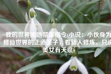 我的世界圈地禁足指令(小说：小伙身为修仙世界的正道圣子，看新人修炼，只说美女有天赋)