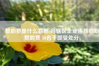 赞助费是什么意思(向辖区企业违规收取赞助费 10名干部受处分)