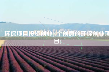 环保项目投资创业(9个创意的环保创业项目)