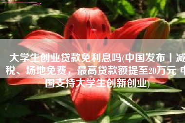 大学生创业贷款免利息吗(中国发布丨减税、场地免费，最高贷款额提至20万元 中国支持大学生创新创业)