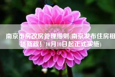 南京市房改房管理细则(南京发布住房租赁新政！10月10日起正式实施)