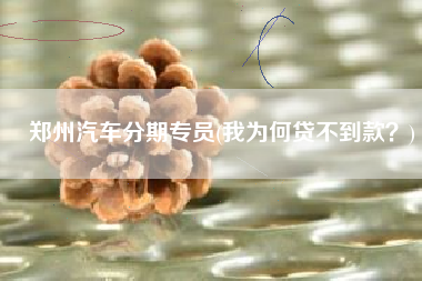郑州汽车分期专员(我为何贷不到款？)