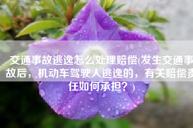 交通事故逃逸怎么处理赔偿(发生交通事故后，机动车驾驶人逃逸的，有关赔偿责任如何承担？)