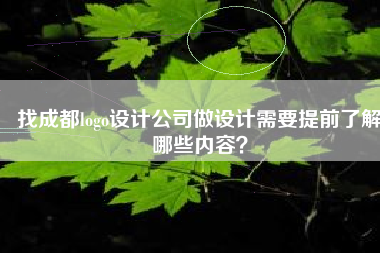 找成都logo设计公司做设计需要提前了解哪些内容？