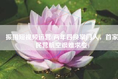 振国短视频运营(两年四换掌门人，首家民营航空艰难求变)