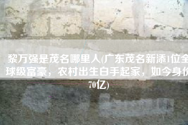 黎万强是茂名哪里人(广东茂名新添1位全球级富豪，农村出生白手起家，如今身价70亿)