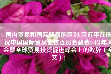 国内贸易和国际贸易的区别(习近平在庆祝中国国际贸易促进委员会建会70周年大会暨全球贸易投资促进峰会上的致辞（全文）)