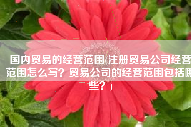 国内贸易的经营范围(注册贸易公司经营范围怎么写？贸易公司的经营范围包括哪些？)