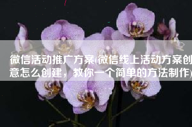 微信活动推广方案(微信线上活动方案创意怎么创建，教你一个简单的方法制作)