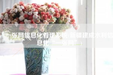 一张网信息化管理系统(新疆建成水利信息化“一张网”)