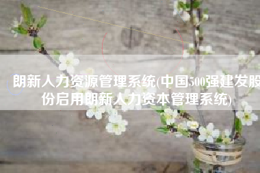朗新人力资源管理系统(中国500强建发股份启用朗新人力资本管理系统)