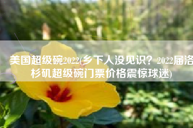 美国超级碗2022(乡下人没见识？2022届洛杉矶超级碗门票价格震惊球迷)