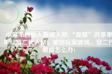 小黄车创始人戴威入狱(“血腥”共享单车：富二代入狱，底层玩家退场，官二代戴威怎么办)