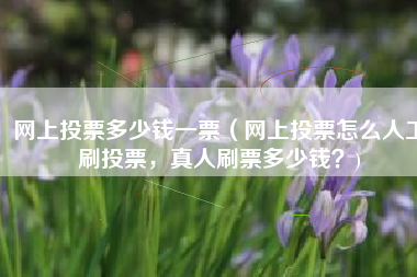 网上投票多少钱一票（网上投票怎么人工刷投票，真人刷票多少钱？)