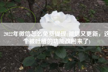 2022年微信怎么免费提现(微信又更新，这个被吐槽的功能改回来了)